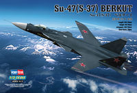 Sukhoi SU-47 Berkut - Image 1