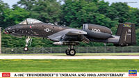 A-10C Thunderbolt II Indiana ANG 100th Anniversary